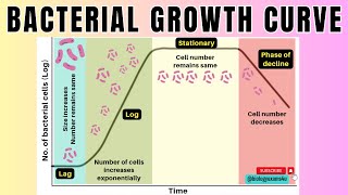 Bacterial Growth Curve in 2 minutes4 Phases of Microbial Growth Curve🦠 Microbiologybiologyexams4u [upl. by Lohner]