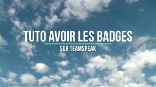 COMMENT AVOIR TOUS LES BADGES TEAMSPEAK [upl. by Erastus235]