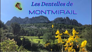 Les Dentelles de MONTMIRAIL [upl. by Brittany]