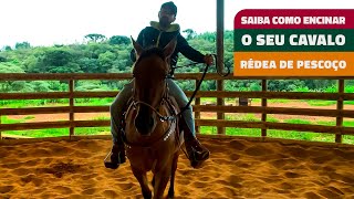 SAIBA COMO ENSINAR O SEU CAVALO RÉDEA DE PERCOÇO [upl. by Nafets427]