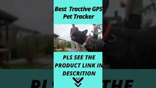 Best Tractive GPS Pet Tracker 2023  Top Tractive GPS Pet Tracker review Buying Guide [upl. by Lek]