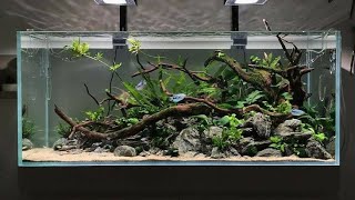 subscribers corner 5th tank setup from Ernakulam [upl. by Mikihisa]