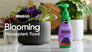 How To Use MiracleGro® Blooming Houseplant Food [upl. by Fennell]