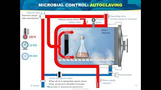 The control of microbial growth Basic Microbiology [upl. by Christenson794]