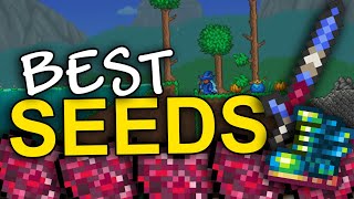 The BEST Terraria seeds 1449 [upl. by Fremont]