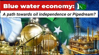 How Pakistans Striking Oil Discovery Could Reshape Global Markets [upl. by Ecniuq128]