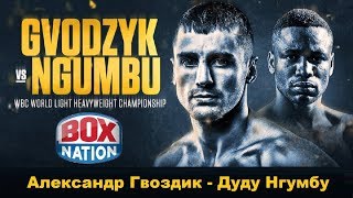 Александр Гвоздик  Дуду Нгумбу прогноз Oleksandr Gvozdyk vsDoudou Ngumbu Who Wins [upl. by Tebasile210]