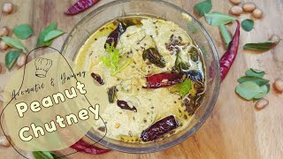 Delicious PeanutGroundnut Chutney Recipe  Phalli ki Chutney  South Indian Side Dish [upl. by O'Doneven184]