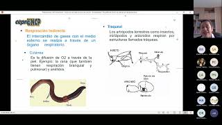 FUNCIÓN DE RESPIRACIÓN Y EXCRECIÓN PARTE I [upl. by Katha]