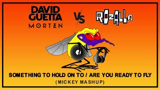 David Guetta amp Morten Vs Rozalla Something To Hold On To Are you ready to fly Mickey Radio Mashup [upl. by Vesta166]