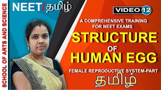 STRUCTURE OF HUMAN EGG தமிழ்NEETBIOLOGY [upl. by Buatti31]