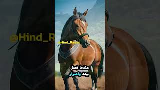 كلام من ذهب ما هو النجاح والعمل الجاد مصر معلومات حكمةاليوم اكسبلور fypage تحفيز اقتباسات [upl. by Aniratac283]