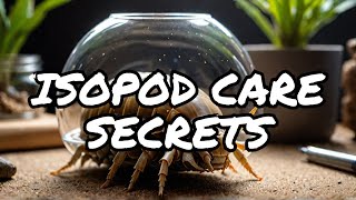 Expert Tips for Isopod Care [upl. by Milicent]