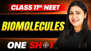 Biomolecules IN ONE SHOT  Full Concepts amp PYQ  Zoology  NEET Class 11th [upl. by Vaughn]