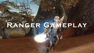 Shaiya Evolved  Arena PVP  Ranger Gameplay  Part 1 [upl. by Dorcus]