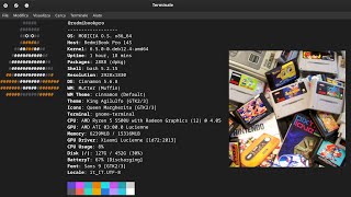 Install Retrograming for terminal in Linux MODICIA OS calamares configure linux technology [upl. by Kcirred]