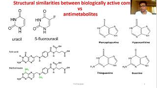 Medicinal chemistry II Anticancer drugs II Antimetabolites  Introduction [upl. by Ydollem]