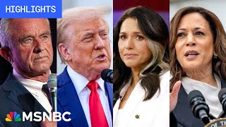 Countdown to the 2024 election Day 64  MSNBC Highlights [upl. by Baram]