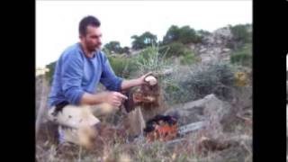 BONSAI HUNDING OLIVE TREES ΑΓΡΙΕΛΙΑ ΤΕΧΝΙΚΗ [upl. by Sidell121]