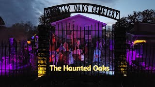 The Haunted Oaks in Woodberry 2024 [upl. by Allehc]