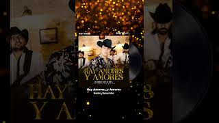 Hay Amores … y Amores 🤠💿❤️‍🔥📲🎵 Ya disponible cantante reynosa Texas artistanuevo [upl. by Darrej]