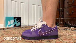 Nike SB Dunk Low Concepts Purple Lobster On Foot [upl. by Tiphanie]