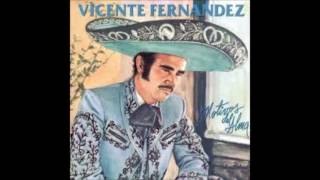 AUNQUE ME DUELA EL ALMA  VICENTE FERNANDEZ FULL AUDIO [upl. by Gallenz]