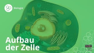 Aufbau der Zelle Bio leicht gemacht – Biologie  Duden Learnattack [upl. by Muffin]