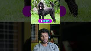 The Most Popular Pet Names In India [upl. by Irod]