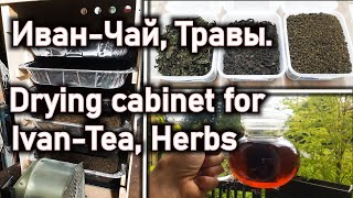 Drying cabinet for Ivan Tea Herbs [upl. by Smaj]