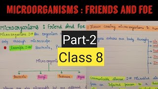 Microorganisms friend and foe class 8  Microorganisms friend and foe chapter 2 class 8 [upl. by Lancaster]