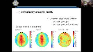 Group Level Analysis with Dr Ted Huppert [upl. by Aksel]