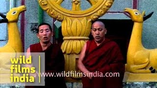 Tibetan monks throatsinging  Specialized form of chanting [upl. by Acemahs]