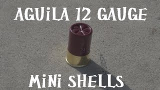 Aguila 12 Gauge Mini Shells Benelli M4 Cycle Test [upl. by Esiralc251]