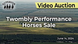 Twombly Performance Horse Sale [upl. by Noyerb]