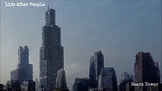 Life After People  Sears Tower [upl. by Nyrroc]