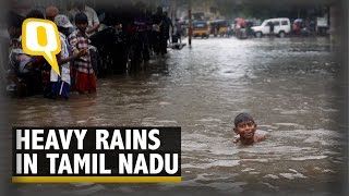 Heavy Rains Raise the Death Toll to 55 in Chennai [upl. by Teak]