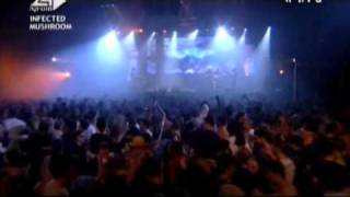 Infected mushroom Live 2007 Tel Aviv [upl. by Anale984]