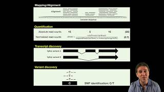 91 Differential expression analysis of RNASeq data [upl. by Brockie]