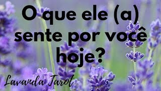 tarot 💜💌 O que ele a sente por você hoje💜💌 [upl. by Inavoy]