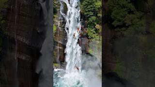 A deer being rescued after falling from a waterfall shorts animals [upl. by Raseac]