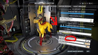 How To Get A Vasca Smeeta Full Guide  Warframe [upl. by Lehcor326]