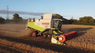 Newley Farm Somerset backbritishfarming backbritishfarmingday [upl. by Guibert578]