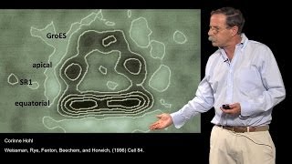 Arthur Horwich YaleHHMI Part 3 Where are proteins folded by chaperonins [upl. by Ehlke]