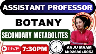 PLANT SECONDARY METABOLITES  BY ANJU MAM [upl. by Dennie]