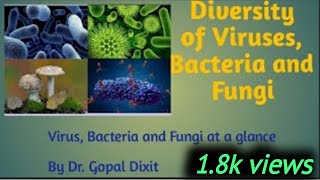 Diversity of Viruses Bacteria and Fungi [upl. by Clo]