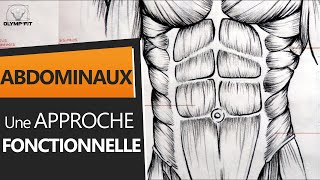 Abdominaux  Anatomie et Entraînement une approche fonctionnelle [upl. by Attiuqal]