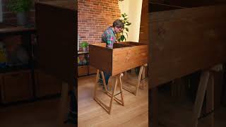 Sideboard selber bauen Shorts  DIY [upl. by Enenstein64]