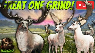 2 Super Rares This Grind Now Lets Get Great One fallow Deer 5 Call of the wild [upl. by Eiderf]