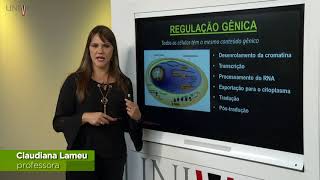 Genética e Biologia Molecular  Aula 06  Regulação Gênica [upl. by Nothgierc250]